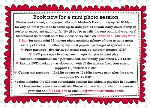 Prices and packages for mini sessions 4 February 2012